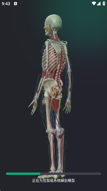 ���������-3D����