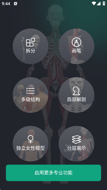 ���������-3D����