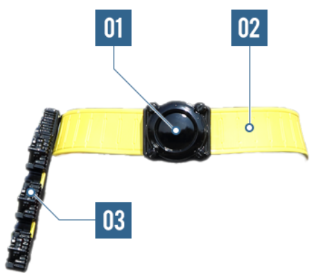 ������ʿ���������(build������)