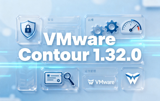 VMware ca-clusterissuer���������ͼ0