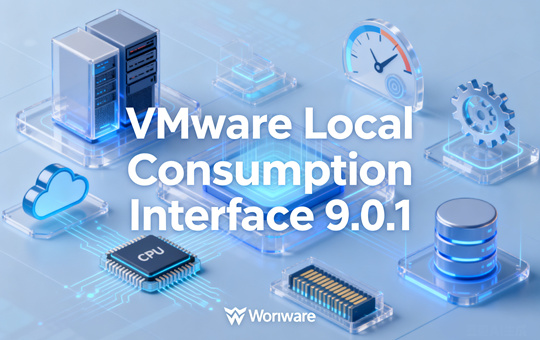 VMware Local Consumption Inter-f-ace�����ӿڹ�����ʲô VMware Local Consumption Inter-f-ace�����ӿڹ��߰�װ�̳�