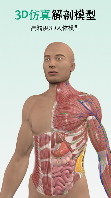 ���������-3D���ʽ�ͼ0