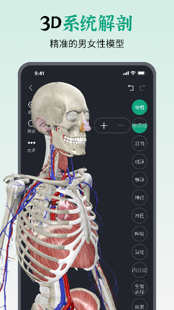 ���������-3D���ʽ�ͼ1