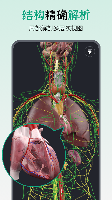 ���������-3D���ʽ�ͼ3