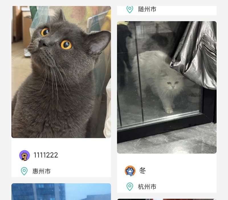 צapp