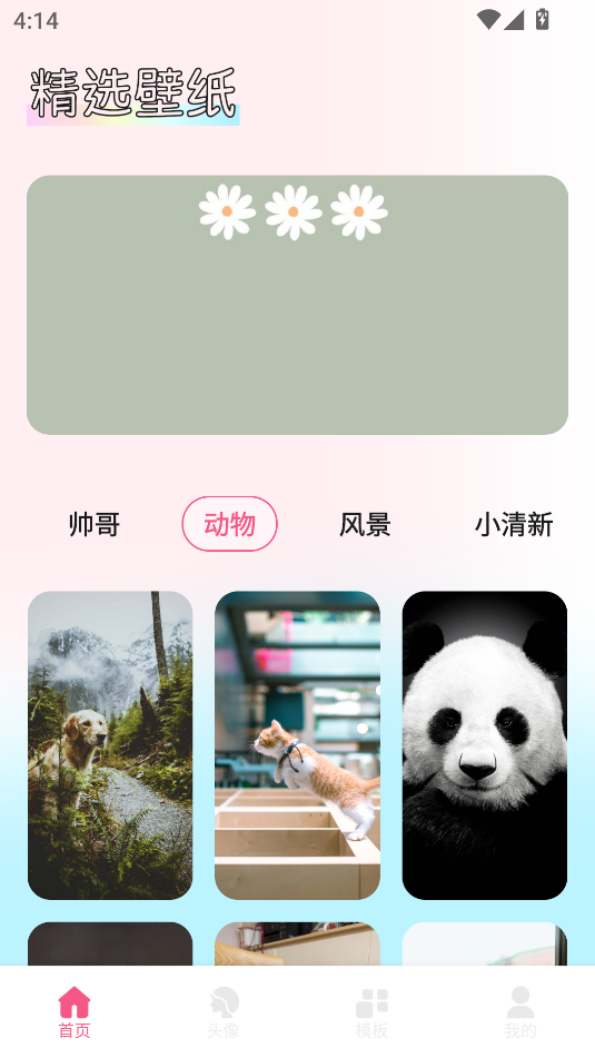 ڼapp