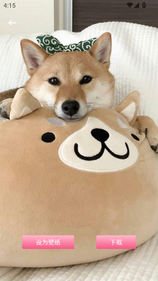 ڼapp