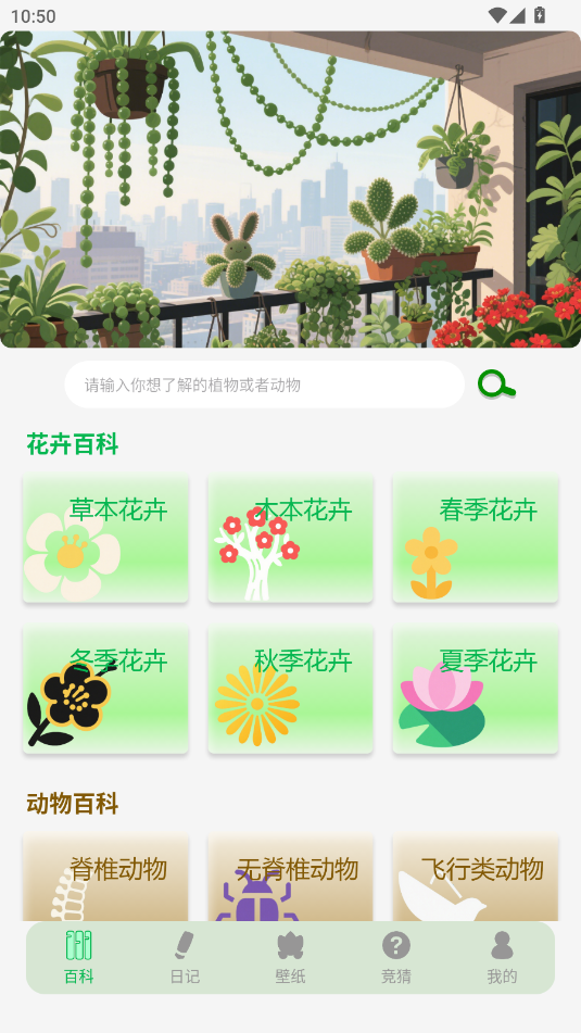 (dng)ﻨapp