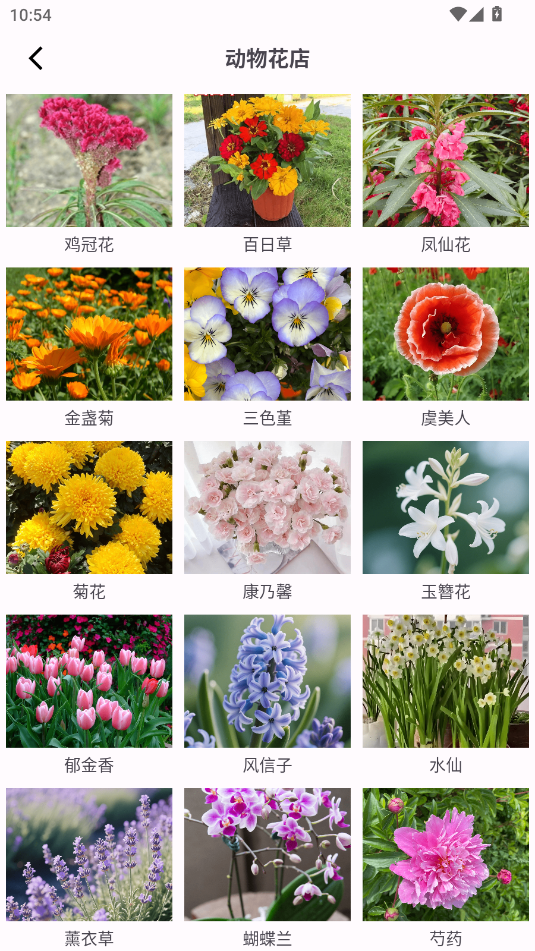 (dng)ﻨapp