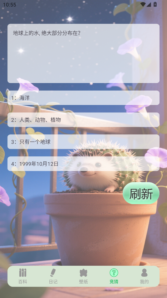 (dng)ﻨapp