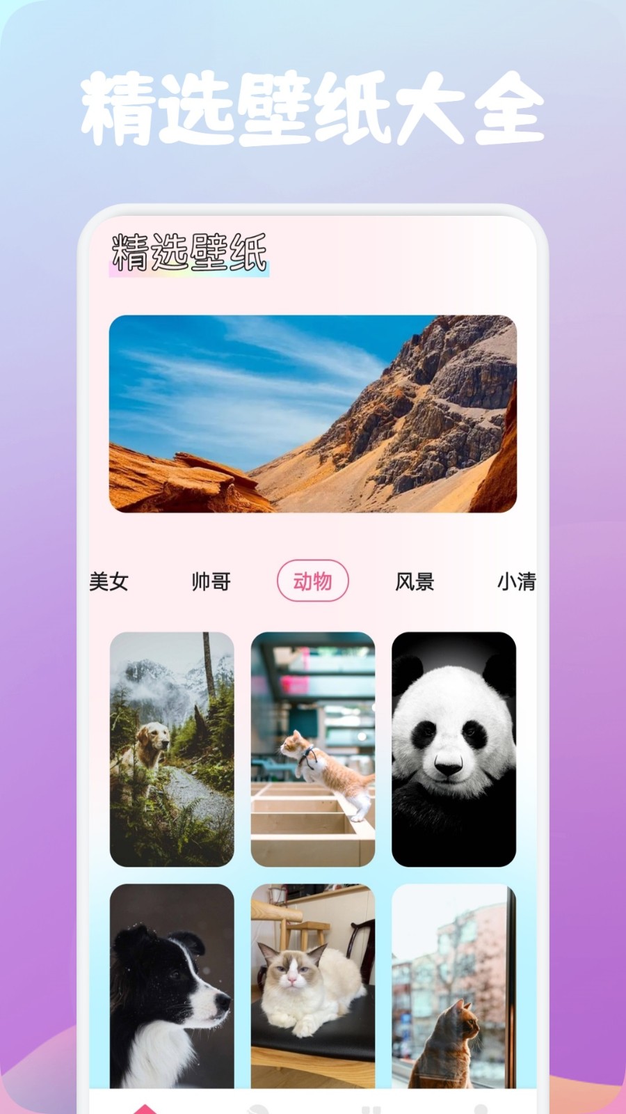 õڼapp؈D