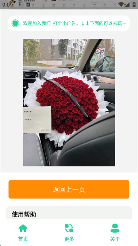 520õ廨DAPP؈D