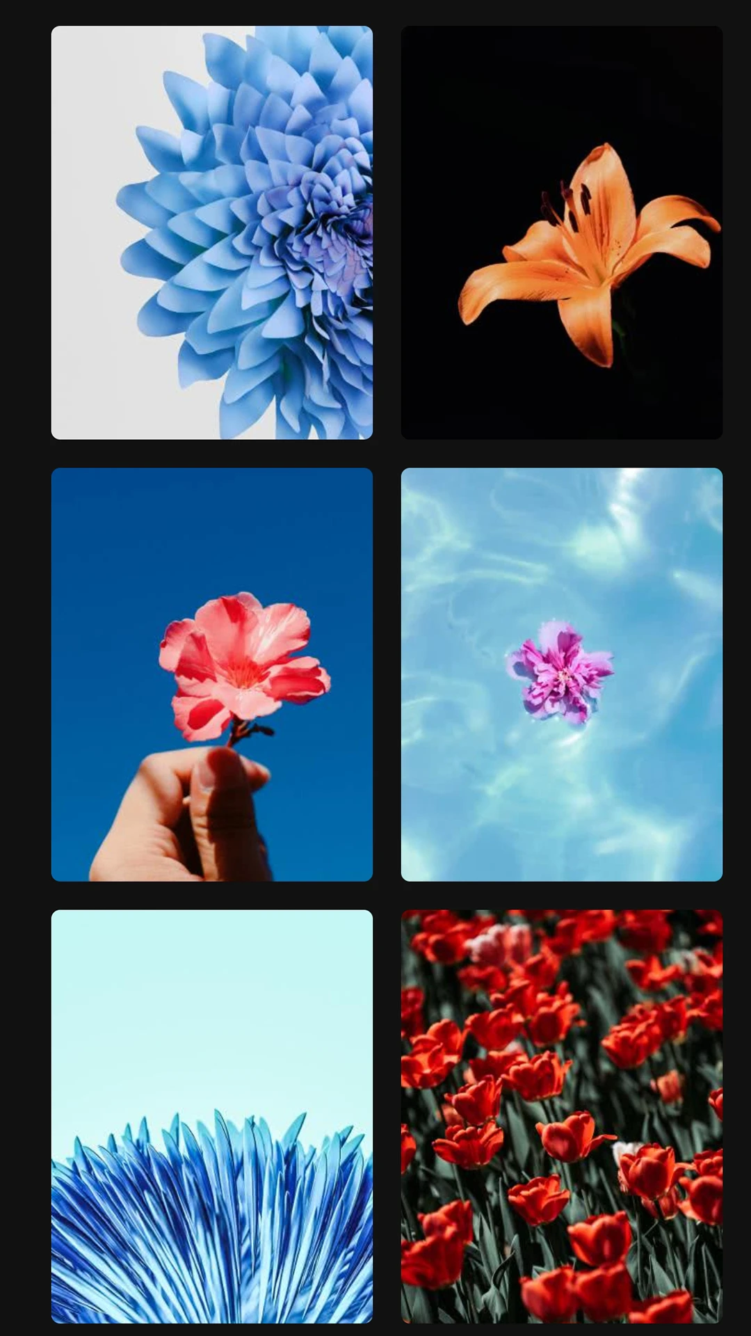 ڼ؈D