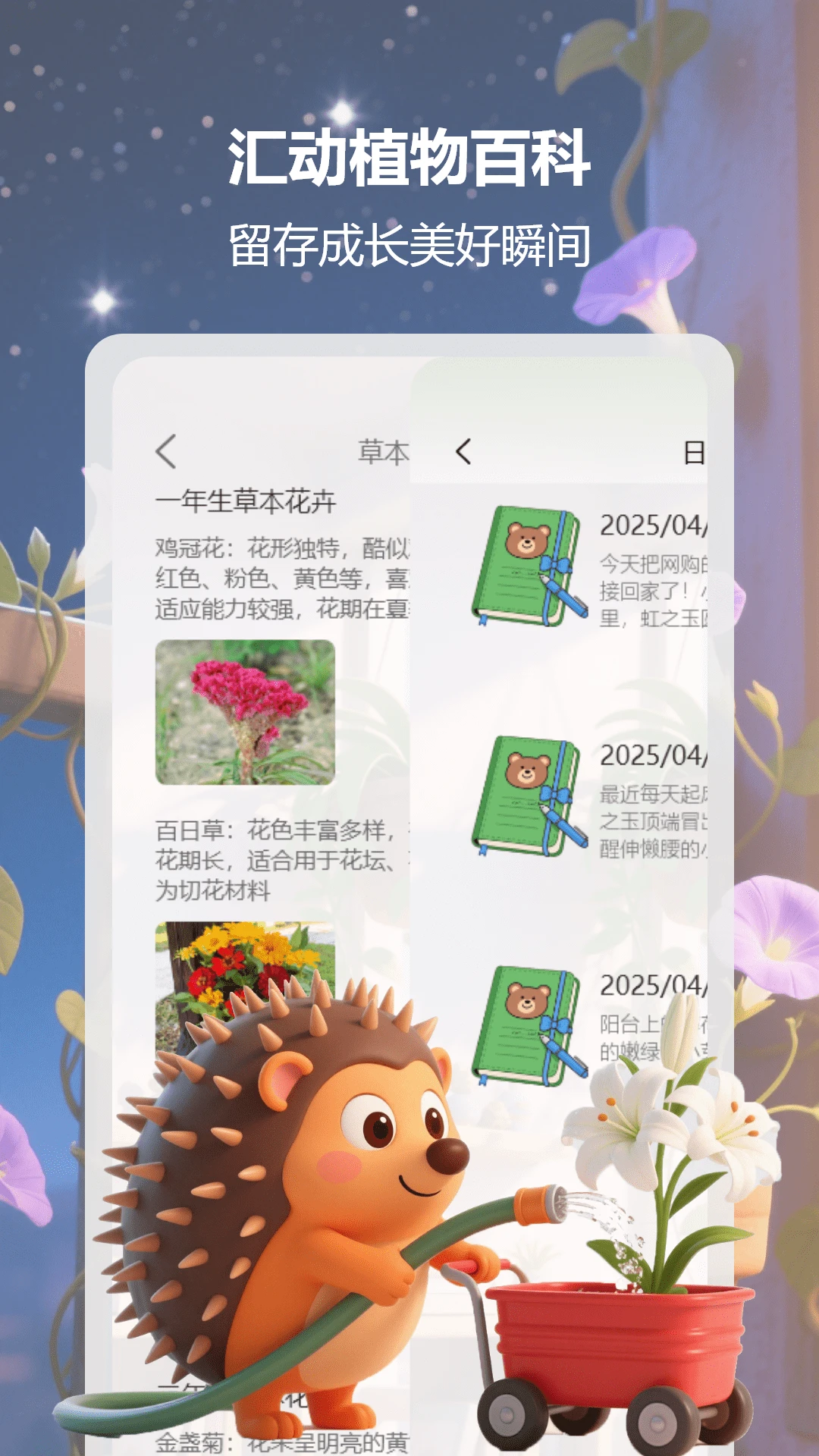 (dng)ﻨapp؈D