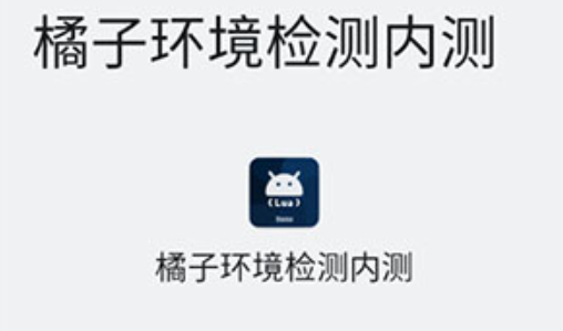 橘子环境检测内测2.9
