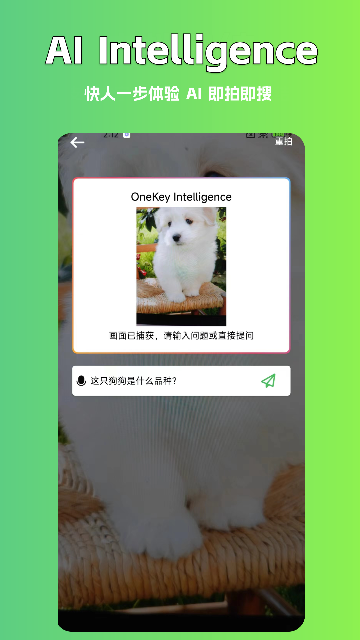 AI写作豆截图