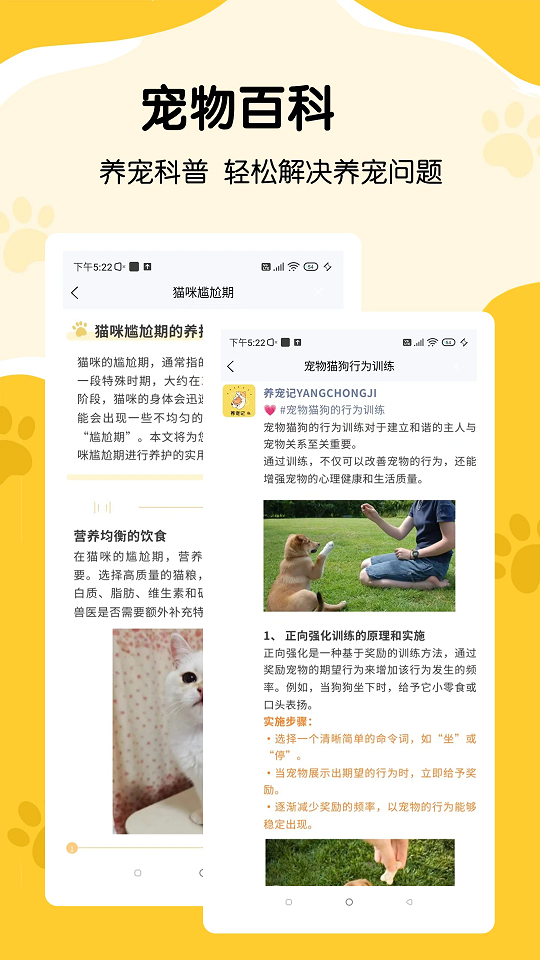 养宠记截图