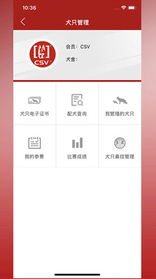 CSVĻapp؈D