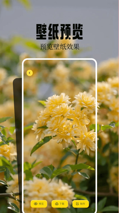 ڼ`app؈D