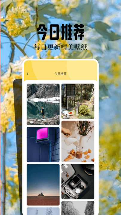 ڼ`app؈D