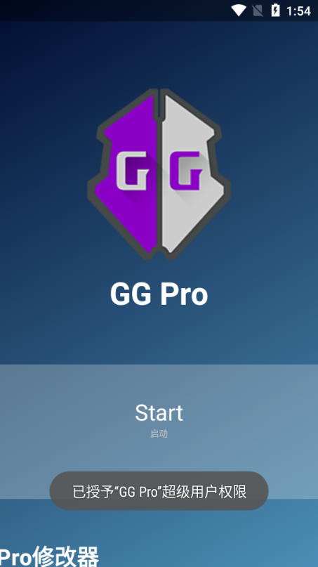 GG Pro޸