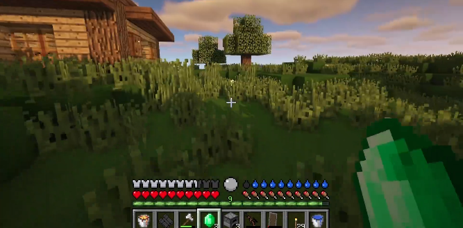 ҵjennyģM(Jenny Mod)