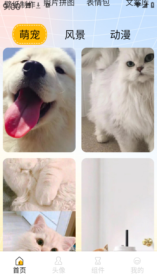 yڼ
