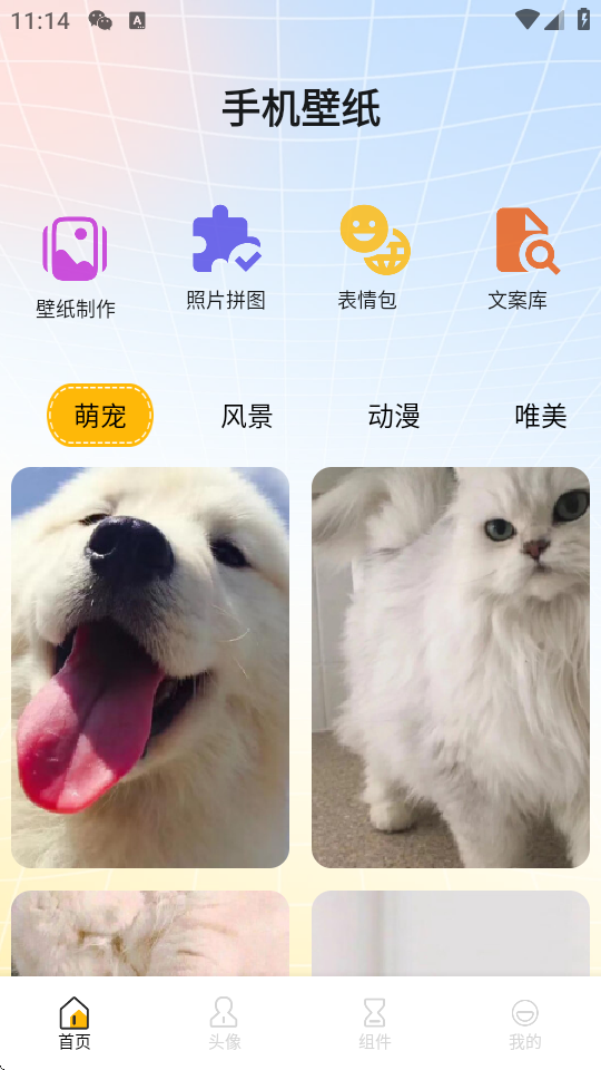 yڼapp؈D