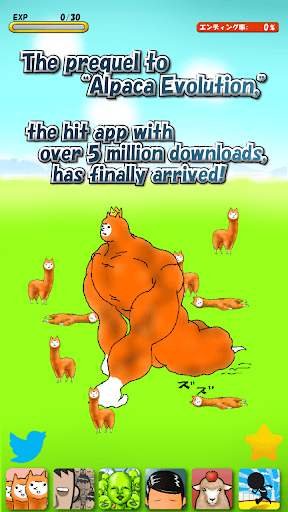 Alpaca2F2oV؈D