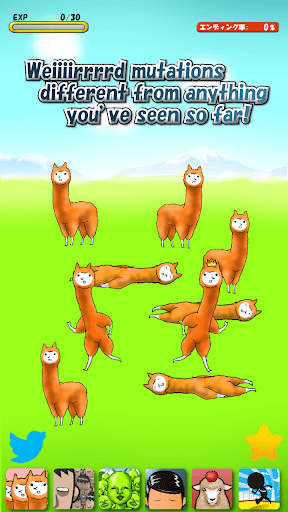 Alpaca2F2oV؈D