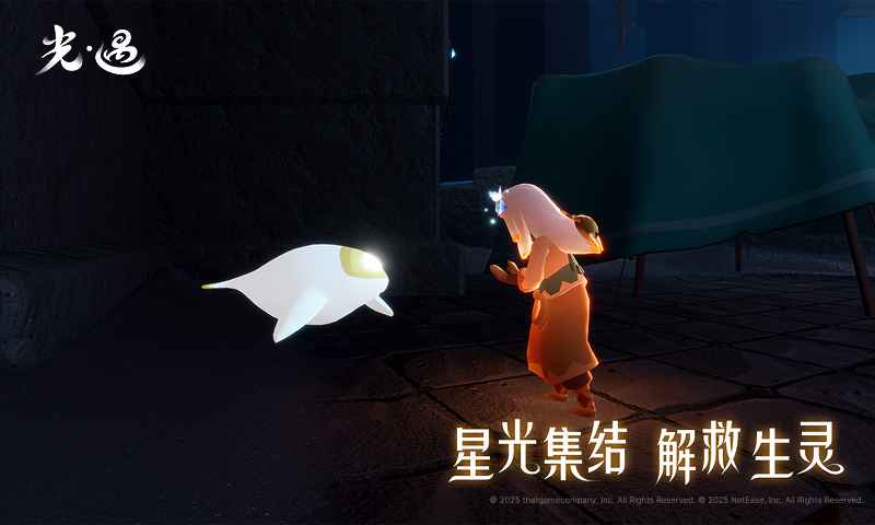光遇国服ios版截图
