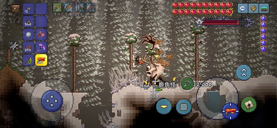 Terraria̩ײˆν؈D