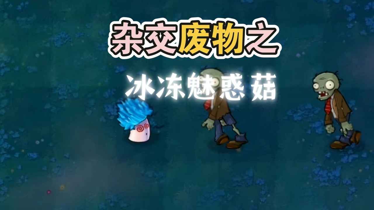 Uʬ1.3汾d؈D