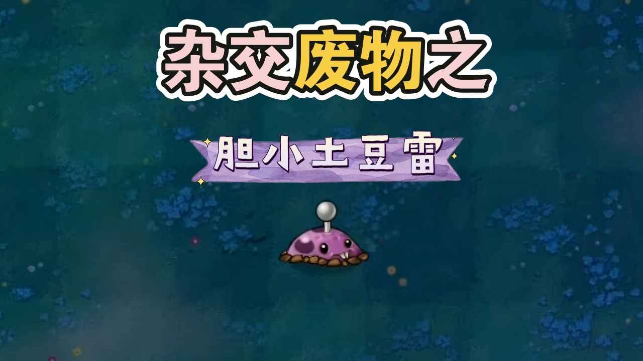 Uʬ1.3汾d؈D