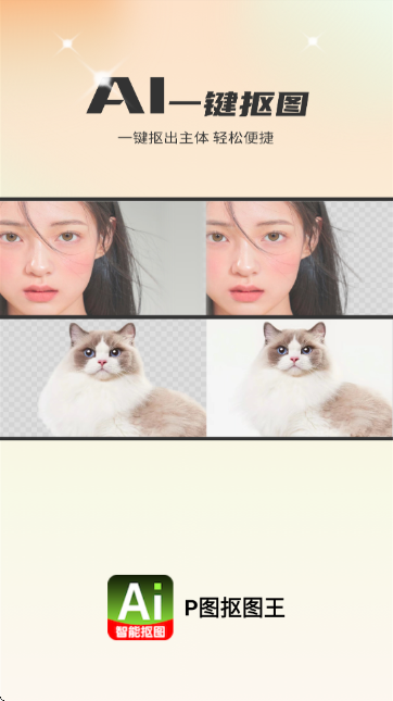 AIһIȥړ(PDD)؈D