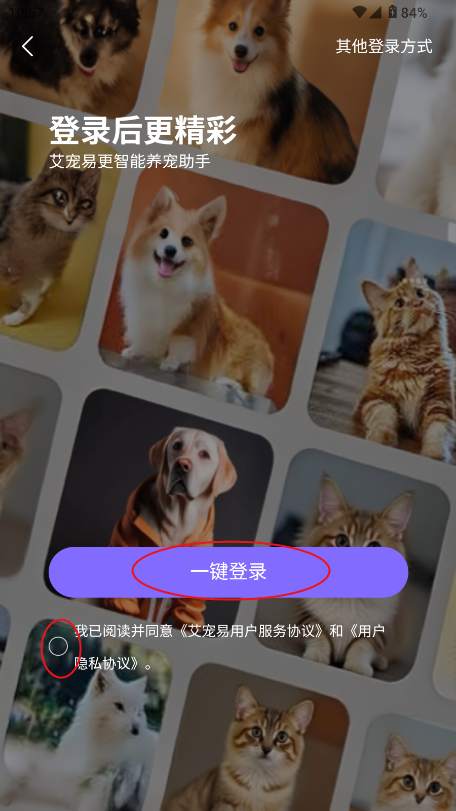 app