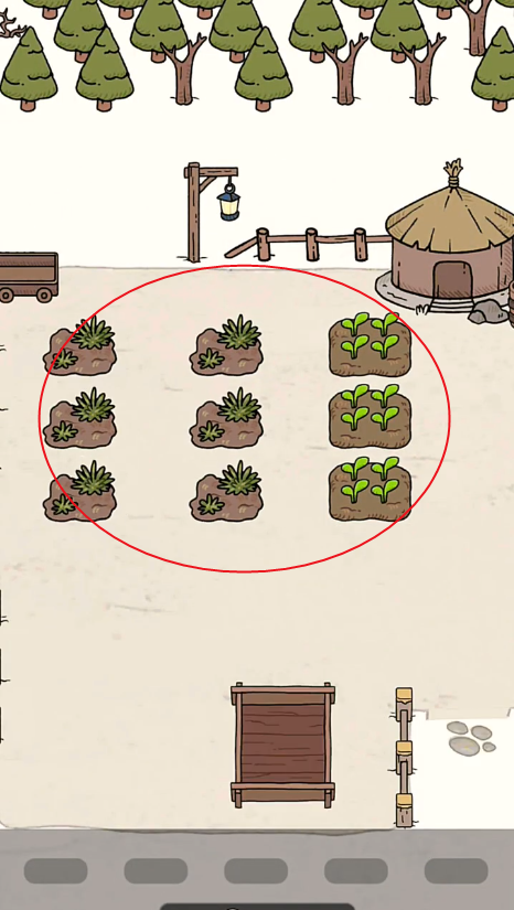 ȦӲ(Circle Tribe)