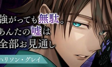 美男恶人 - 暗夜开启的邪恋游戏(イケヴィラ) 美男恶人 - 暗夜开启的邪恋游戏(イケヴィラ)