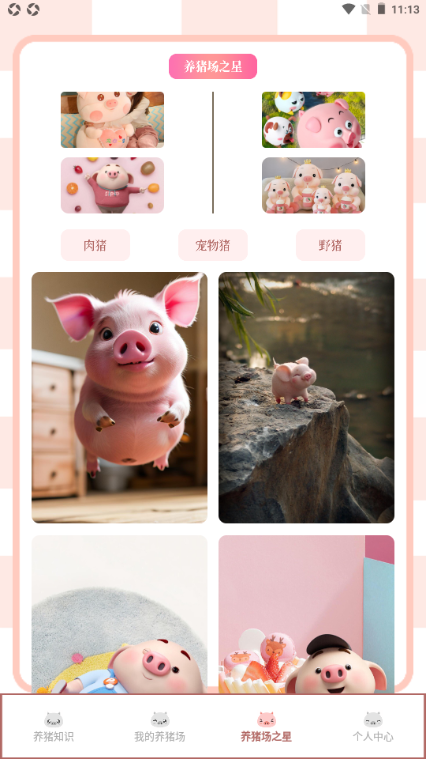 Ų������սapp