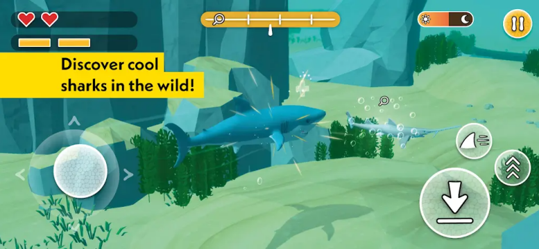 ������������(PLANET WOW Sharks)