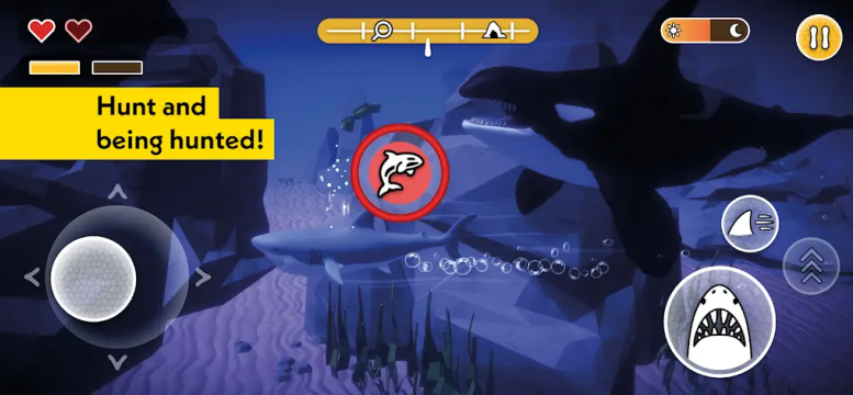 ������������(PLANET WOW Sharks)