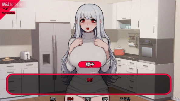 ���ﵼʦ������