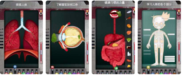 人体是如何运作的 人体是如何运作的