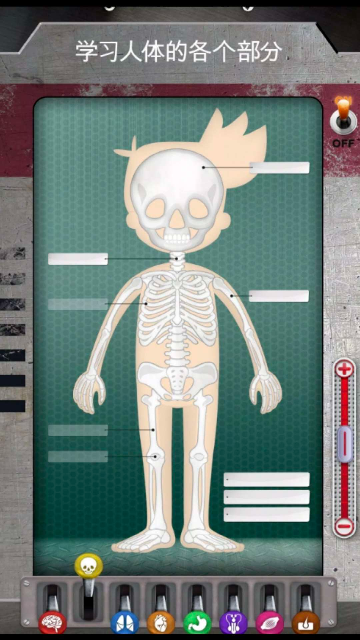 人体是如何运作的 人体是如何运作的