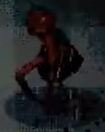 恐怖版植物大战僵尸