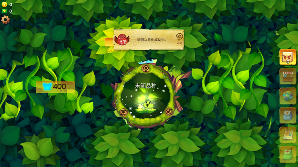 彩翼蝴蝶保护区