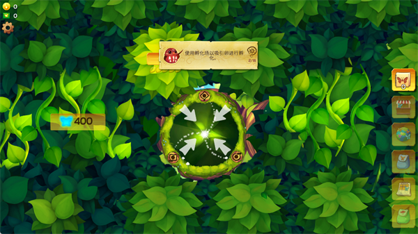 彩翼蝴蝶保护区