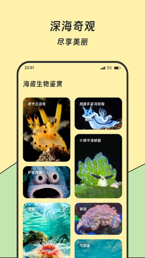 ��������ܼ����°��ͼ