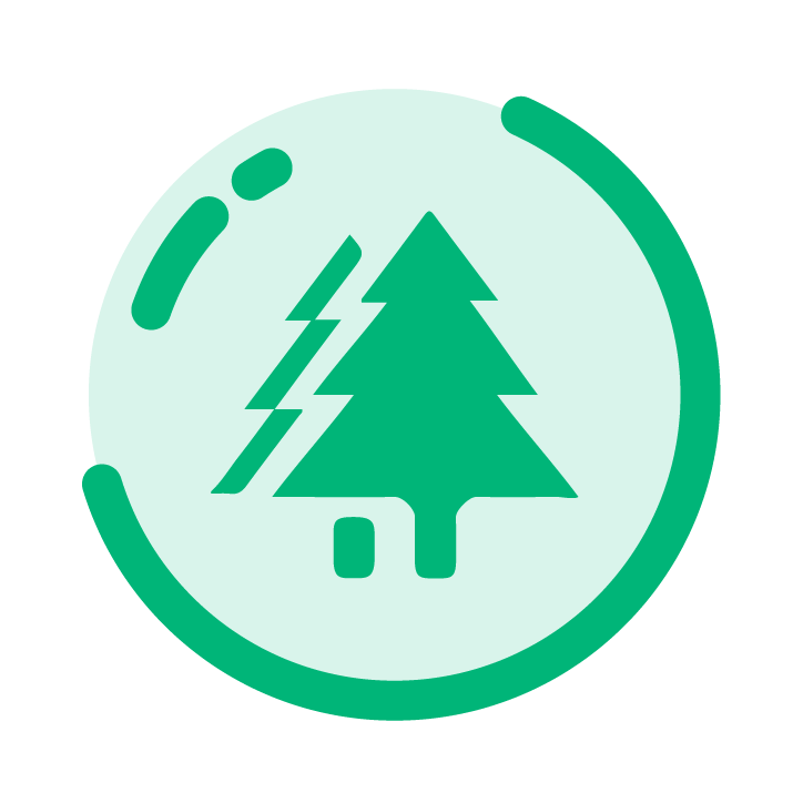 ֥���SSVIP2.0.6.1 ���°�