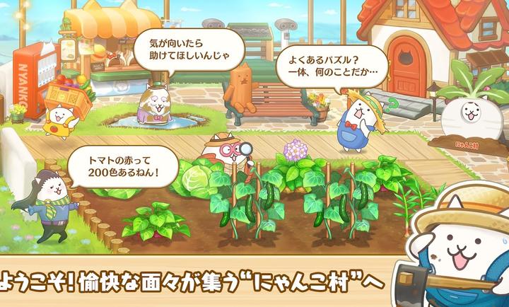 ���Ǵ����è���ٷ������ͼ